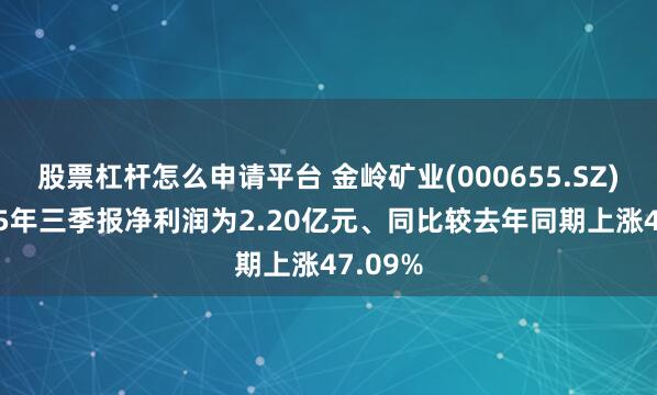 股票杠杆怎么申请平台 金岭矿业(000655.SZ)：2025年三季报净利润为2.20亿元、同比较去年同期上涨47.09%