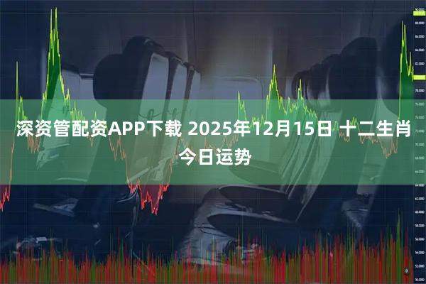 深资管配资APP下载 2025年12月15日 十二生肖 今日运势