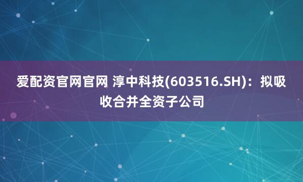 爱配资官网官网 淳中科技(603516.SH)：拟吸收合并全资子公司