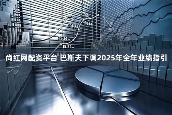 尚红网配资平台 巴斯夫下调2025年全年业绩指引
